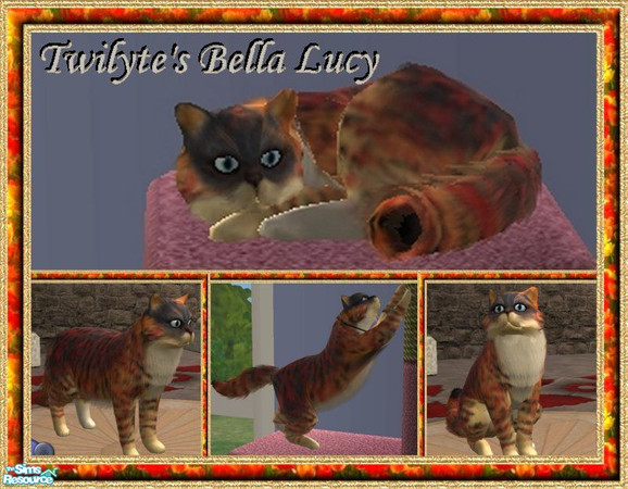 Sims 2 — Twilyte's Cats - Bella Lucy by Twilyte — Meet Bella Lucy, a gentle lady with elegant sophistication. Playful and