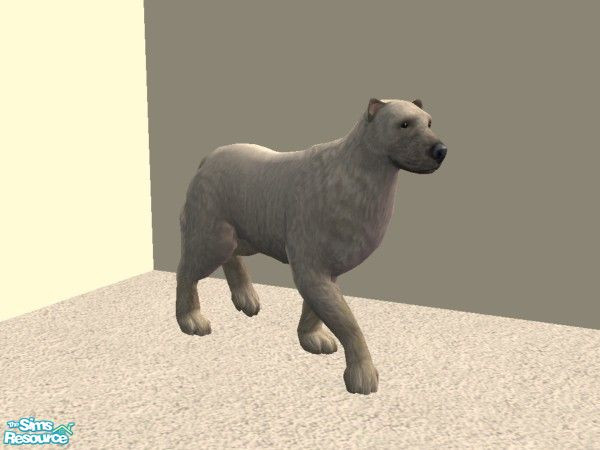Sims 2 — Polar Bear by TabbyDragon — He's rather small for a polar bear, but he makes up for his size by being ferocious!