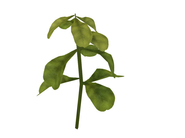 Sims 4 — Tall Sprout by sim_man123 — A small plant that has just recently sprouted.