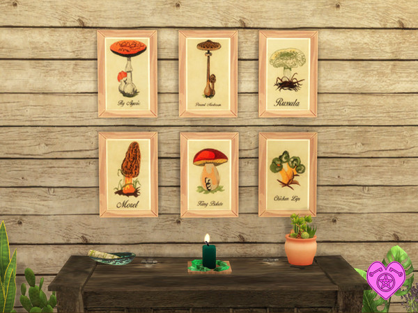 Sims 4 — Vintage Mushroom Wall Art Set by Simder_Talia — A set of 12 different mushrooms in a brown wooden frame. 6