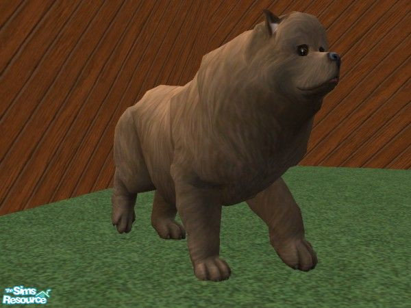 Sims 2 — Grizzly Bear by TabbyDragon — A grizzly bear to terrorize the neighbors with.