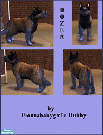 Sims 2 — Dozer by fionnababygirl — Dozer was an accidental creation that I liked the look of. He was given the name