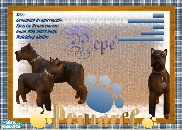 Sims 2 — Pepe'- Yorkshire Terrier by Ajoya — Pepe' is the most handsome Terrier around! He comes from the Finest Champion