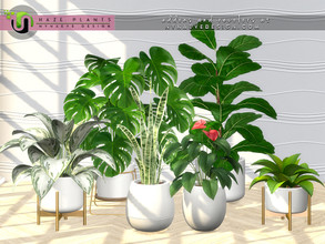 Sims 4 — Haze Plants by NynaeveDesign — Create an aesthetically pleasing arrangement with plants that add beauty and