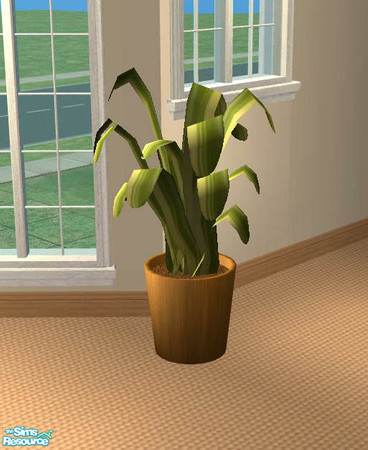 Sims 2 — Marisse Living Room - Plant by Benny Boy — A light wood recolor of sim_man123's Marisse plant.