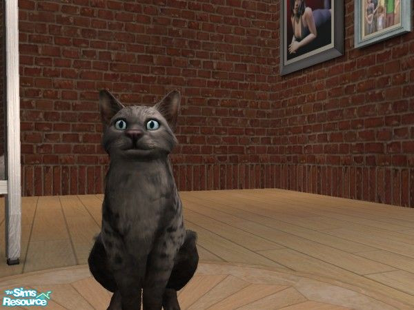 Sims 2 — Smokey by TeXaSrOsE — Here's a big fluffy grey/black leopard cat. He's really beautiful.