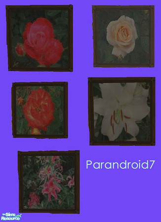 Sims 2 — Flower Photos by parandroid7 — Here are five floral photos. They are pictures of various flowers I have taken