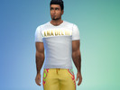 Sims 4 — Lana Del Rey Shirt Deriso LanaDelRey LDR by Deriso — This was my first attempt at making custom content for