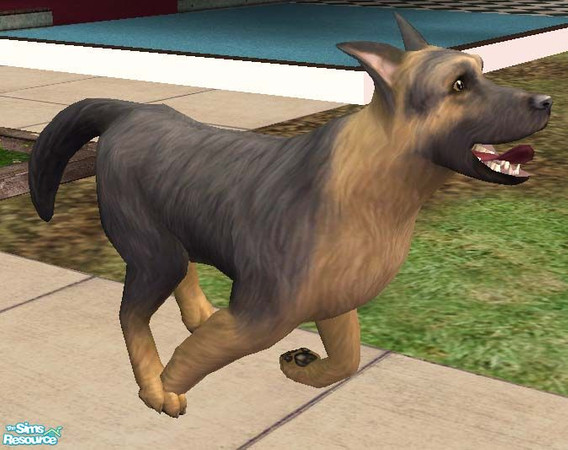 Sims 2 — Black and tan German Shepherd Dog by Freelance_Wolf — One of the most popular breeds, the versatile GSD has been
