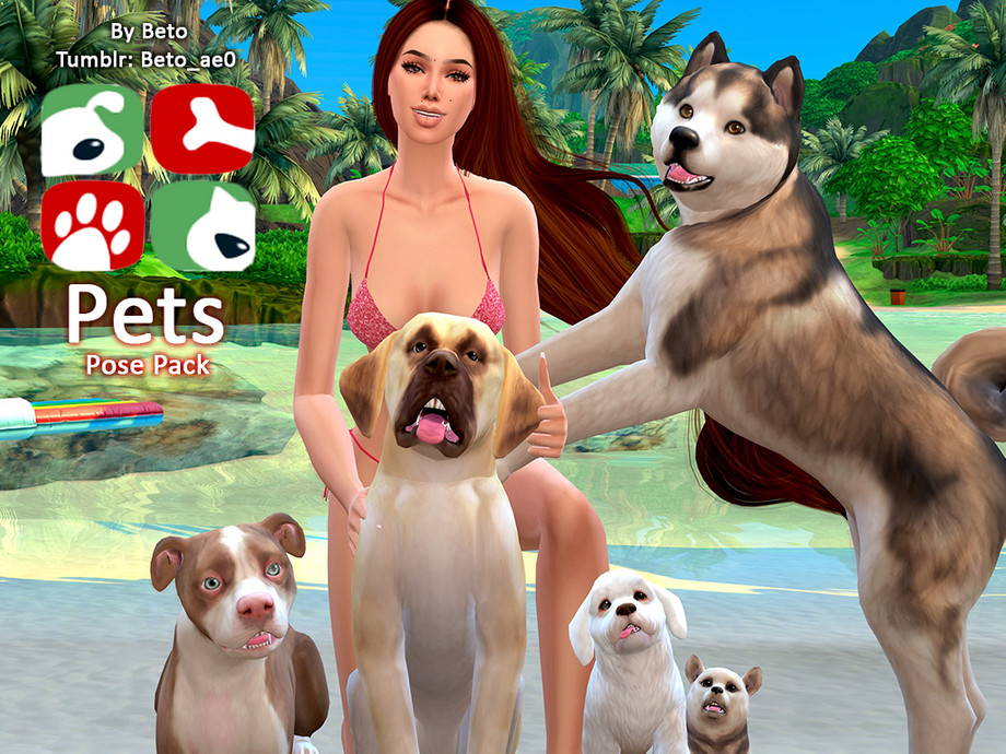 Sims 4 - Pets - Pose Pack by Beto_ae0 - Poses with the most pampered of the...