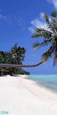 Sims 2 — Beach mural wall: part 2 by sometimes — 