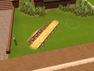 Sims 4 — Animal Crossing Path by yesimaweirdo — Make your sims feel like they are playing animal crossing! This was taken