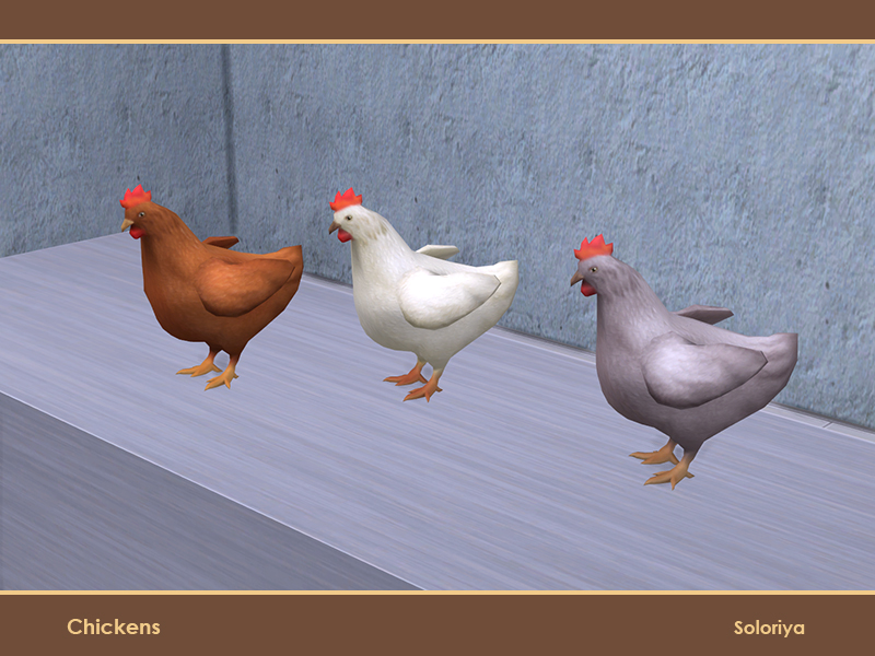 The Sims Resource Chickens Part 2 Chicken Coop V2