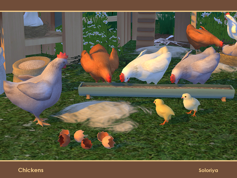 The Sims Resource Chickens