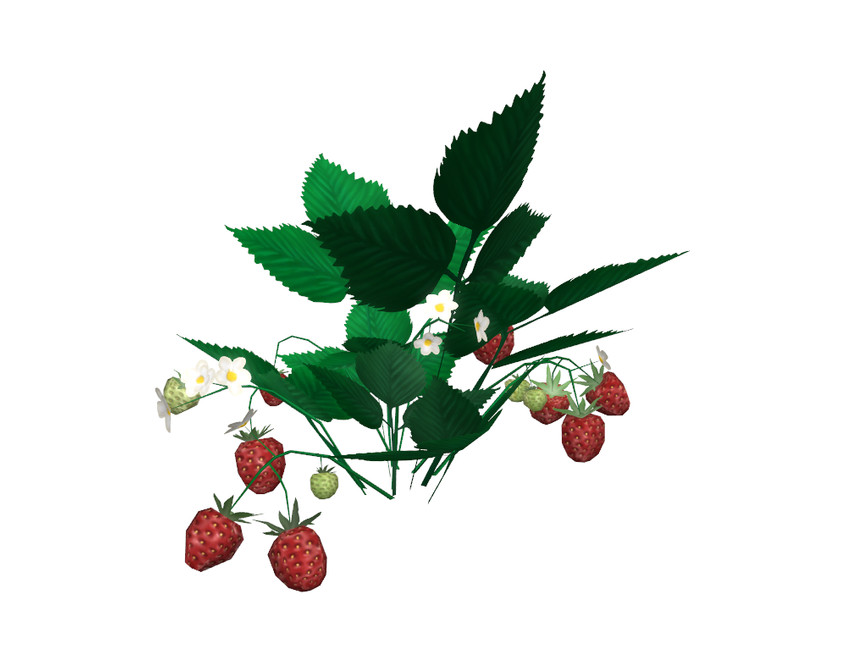 The Sims Resource Strawberry Plant