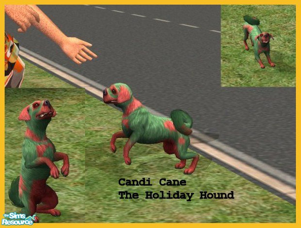 Sims 2 — Holiday Hound by Small Town Sim — Candi Cane the Holiday Hound. She would love to be apart of your family all