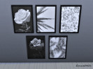 Sims 4 — Black and white paintings by Emsie0401 — Black and white paintings with 5 swatches. 