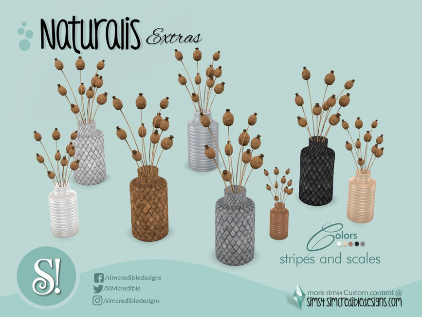 The Sims Resource Naturalis Dried plant Poppy Seed Head