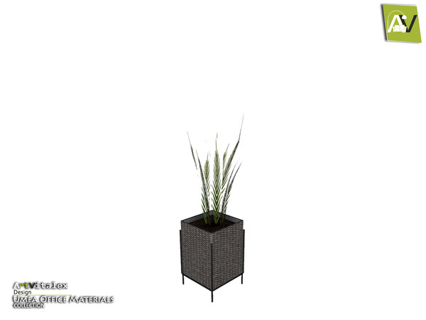 Sims 4 — Umea Plant by ArtVitalex — - Umea Plant - ArtVitalex@TSR, Sep 2020