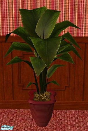 Sims 2 — Cranberry Living Set - Rubber tree by RhondaBlonda — 