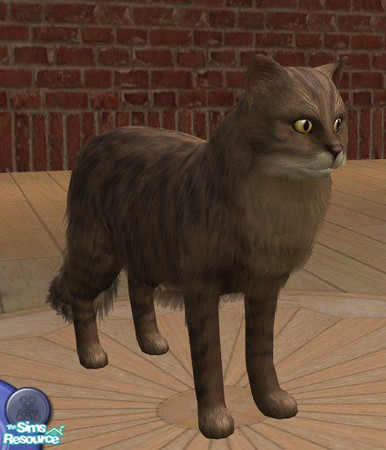 Sims 2 — Norwegian Forest Cat - Tabby by Songe — A more realistic Norwegian Forest Cat in tabby