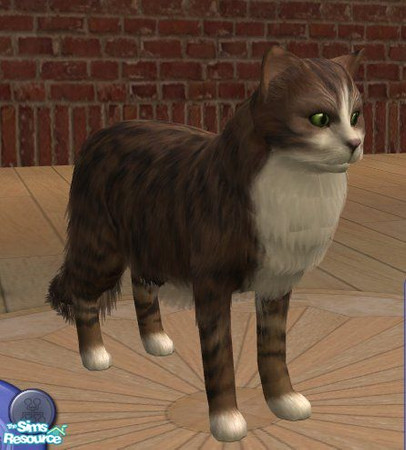 Sims 2 — Norwegian Forest Cat - Tabby/White (2) by Songe — A more realistic Norwegian Forest Cat in tabby and white
