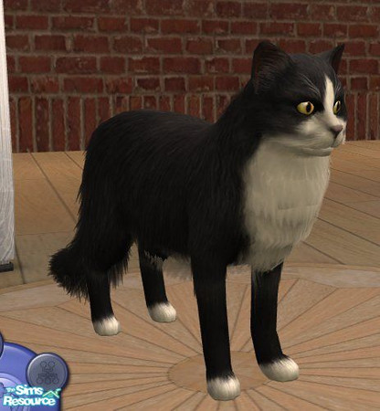 Sims 2 — Norwegian Forest Cat - Black/White by Songe — A more realistic Norwegian Forest Cat in black and white
