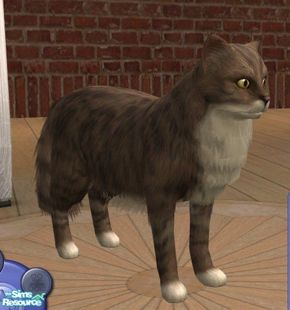 Sims 2 — Norwegian Forest Cat - Tabby/White by Songe — A more realistic Norwegian Forest Cat in tabby and white