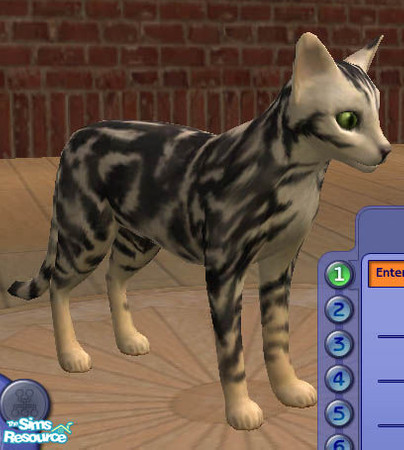 Sims 2 — Tabatha - The White Tabby by simsathome2005 — This is tabatha the white female tabby cat