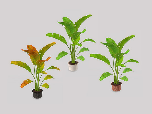 Sims 4 — Bedroom Faye Decor - Plant by ung999 — Bedroom Faye Decor - Plant Color Options : 3