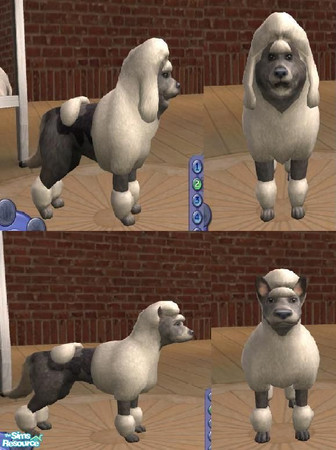 Sims 2 — Dogs by teufelsmienchen — two small dogs they are born in the game