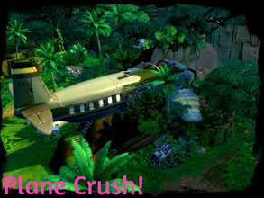 Sims 4 — Plane Crush by GenkaiHaretsu — An old crashed plane turned into a house for rent