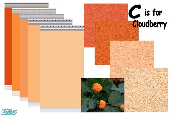 Sims 2 — C is for Cloudberry by Bittersweet_Symphony — Walls and carpet in colors that can be found in a cloudberry.