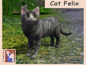 Sims 3 — ws Felix Cat by watersim44 — This is Cat Felix A lovely cat for your sims. ~ friendly and shay cat ~