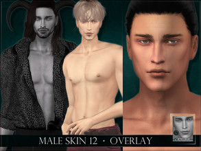 Sims 4 — Male skin 12 Overlay by RemusSirion — Male Skin 12 Overlay This is an overlay version that adapts to the