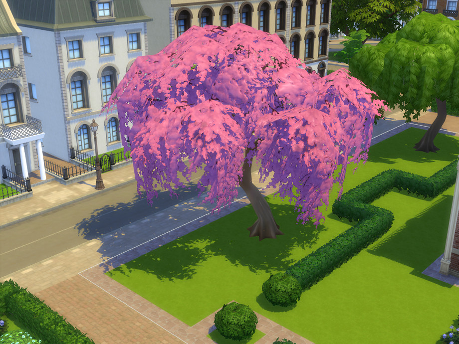 The Sims Resource phoenixvalleystables Weeping Cherry Tree Recolour