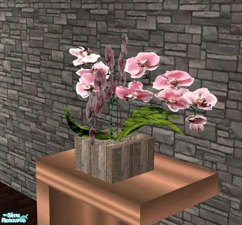 Sims 2 — Marble Copper BathRoom Orchids by openhousejack — beautiful orchids in wooden pot