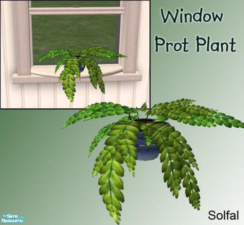 Sims 2 — Window Prot Plant by solfal — Flowers you can put on my window sills