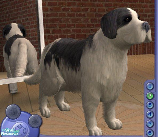 Sims 2 — Landseer by Songe — 