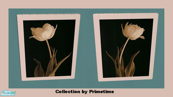 Sims 2 — PT Charles Britt Floral Beauty by Primetime024 — This collection features 2 beautiful floral prints. You mush