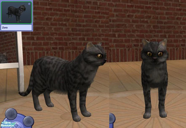 Sims 2 — Zoro by teufelsmienchen — 