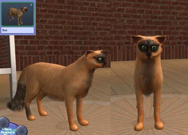 Sims 2 — Eva by teufelsmienchen — 