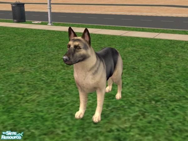 Sims 2 — Lighter Black and Tan Shepherd by Jolee13 — This is my version of the Lighter Black and Tan Shepherd. Hope You