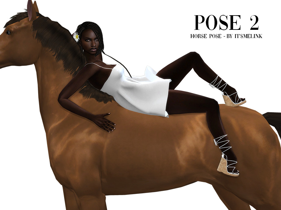 Horse Poses, Vectors | GraphicRiver