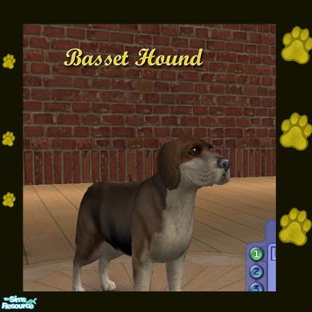 Sims 2 — Pet Breeds - Basset Hound by jmm8220 — Here a Basset Hound.