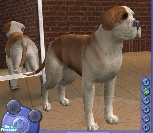 Sims 2 — American Bulldog by Songe — 
