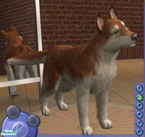 Sims 2 — Red and White Husky by Songe — 