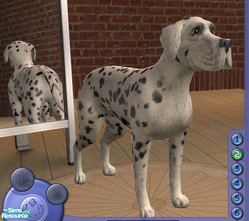 Sims 2 — Great Dane - Harlequin by Songe — With natural ears. Follows the breed standard.