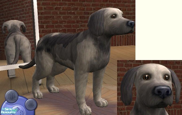 Sims 2 — Dow by sim-sam2000 — This is my new created breed, it's in between a dog and a cow. I name him Dow.