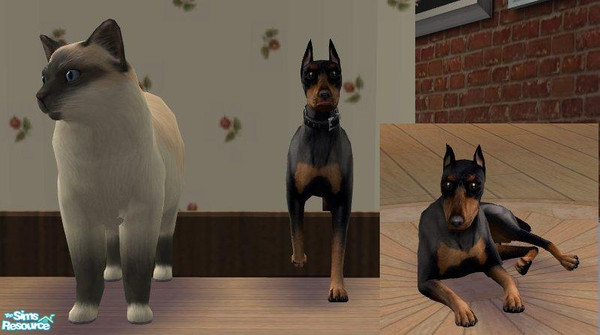 Sims 2 — Minature Pincher by Misticblue79 — I just love these dogs so I made them for my game, and I'm sharing with
